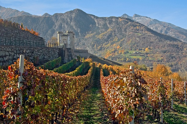 Vacanze sostenibili in Valle d’Aosta