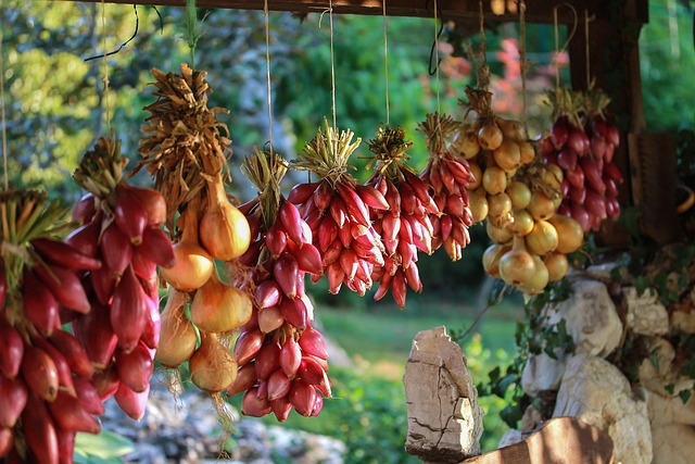 Vacanze sostenibili in Calabria
agriturismo bio calabria